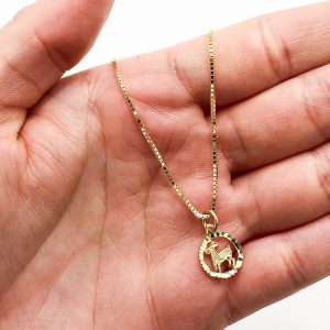 Mini Capricorn - Zodiac Pendant