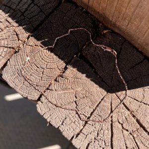 Rose Sparkle Link 1.25mm - Anklet