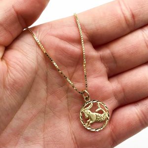 Capricorn - Zodiac Pendant