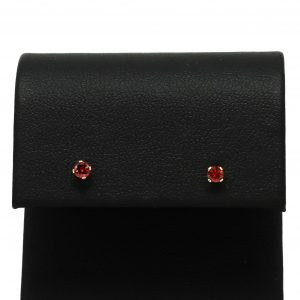 January Birthstone - Earrings