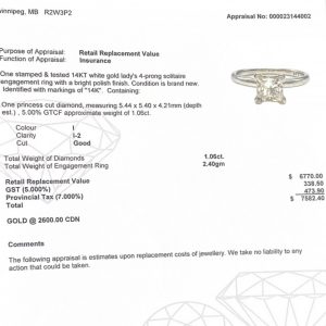 Princess Cut 1.06ct #11 - Diamond Ring - Image 3