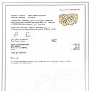 Icy Tree Bark Nugget .30ct 14k #173 - Diamond Nugget Ring - Image 3