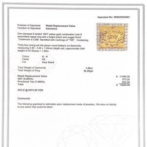 GHJ 1.00ct 10k #212- Diamond Nugget Ring - Image 3