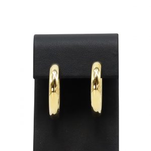 Medium Chunky Hoops 5.5MM 10k - Earrings