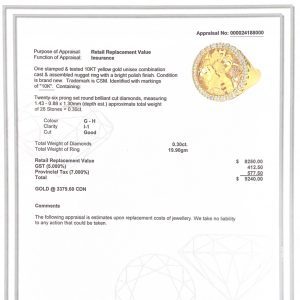 Icy Brian .30ct 10k #244  - Diamond Nugget Ring - Image 3