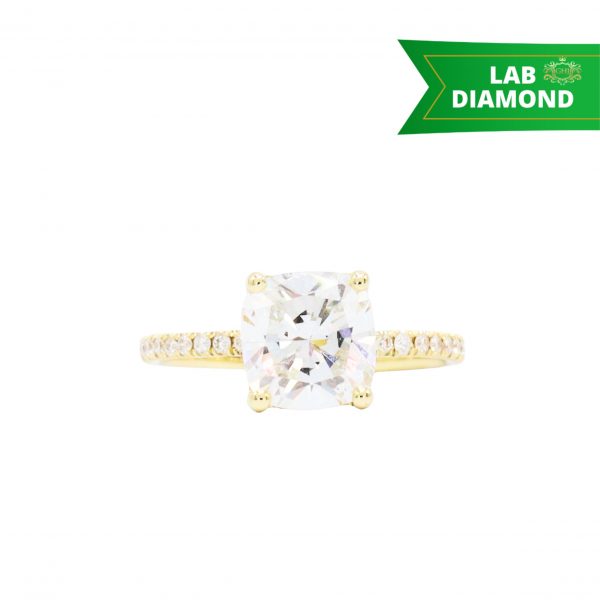 Custom for website - 2025-11-19T143149.599