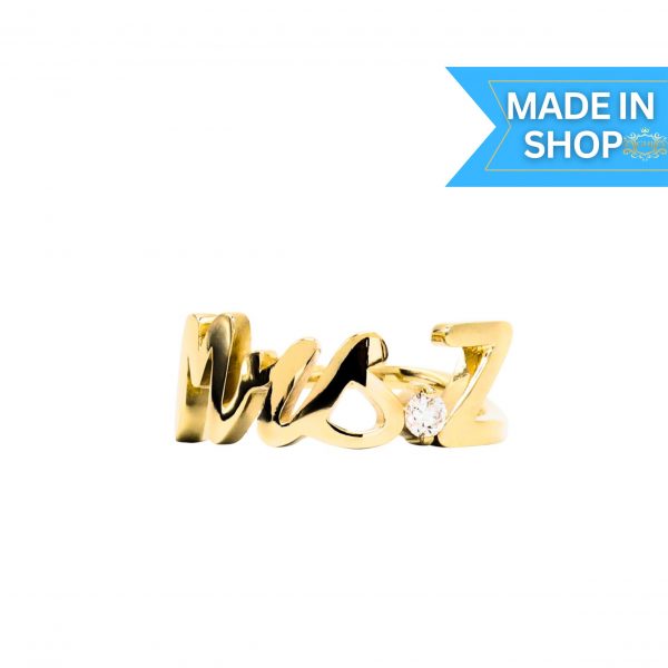 Custom for website - 2026-02-11T152700.339