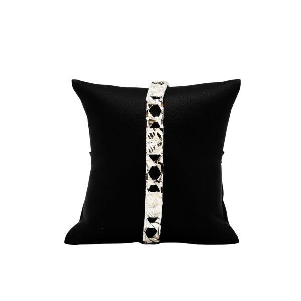 Custom for website - 2026-03-24T164337.219