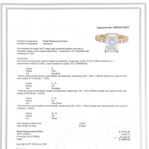 Radiant Cut 6.9ct Lab #35 - Diamond Ring - Image 5