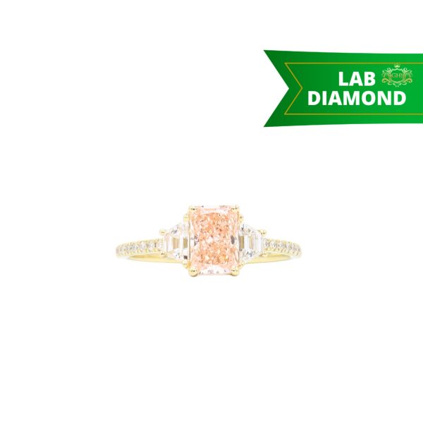 Custom for website - 2026-08-11T163629.101