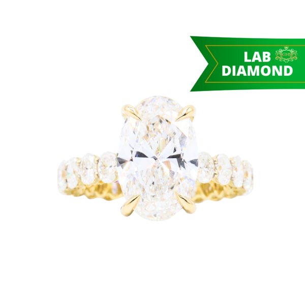 Custom for website - 2026-10-16T160044.909
