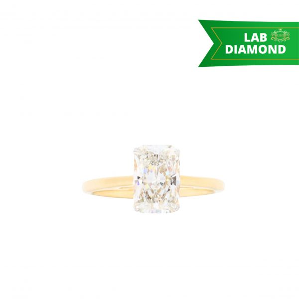 Custom for website - 2025-09-27T144334.766