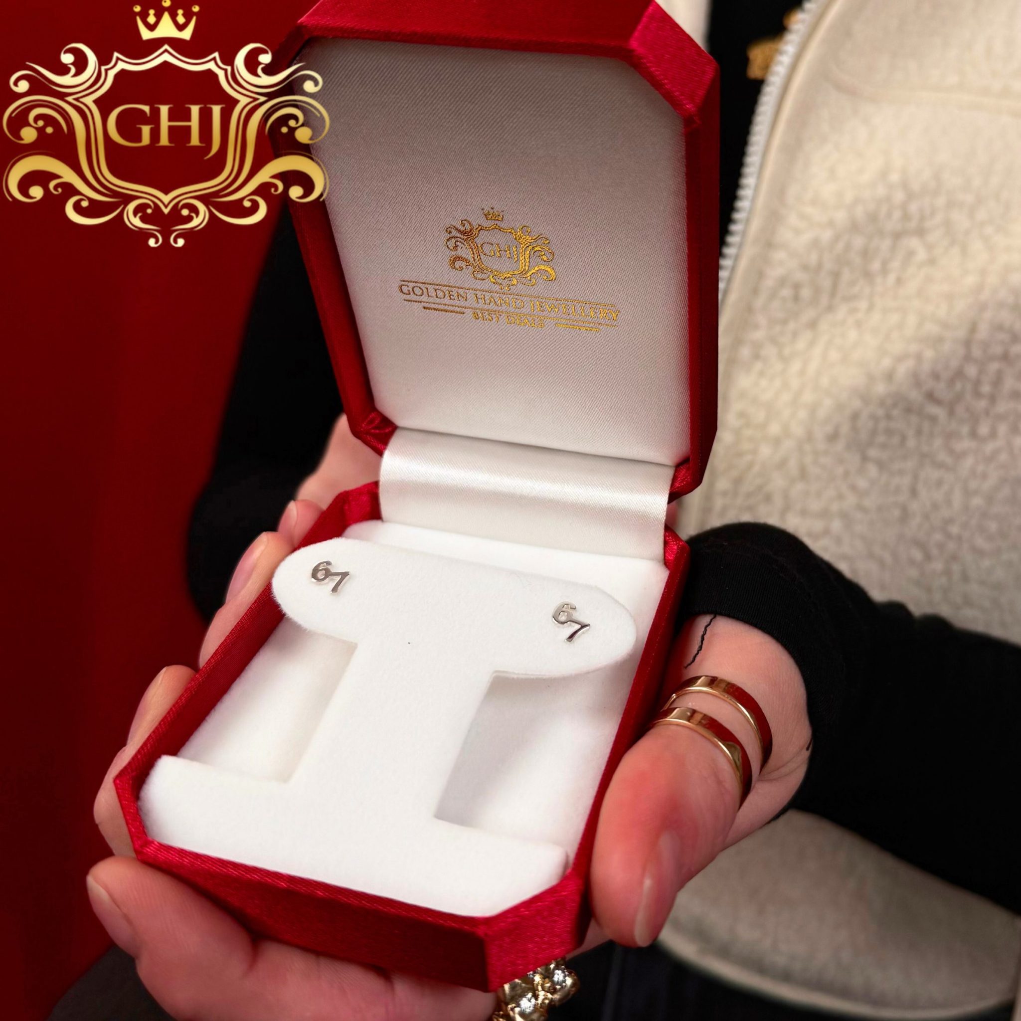 Custom for website – 2025-12-17T153738.523