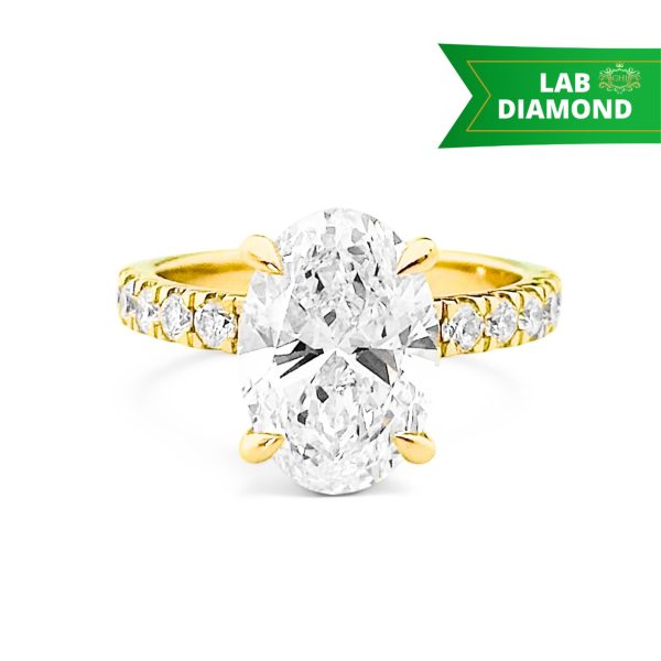 Custom for website - 2026-10-30T154748.467